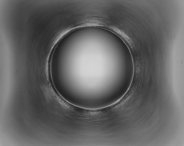 X0000116621423200912111147