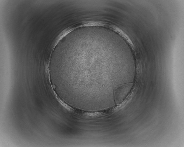 X0000116621425200912111147