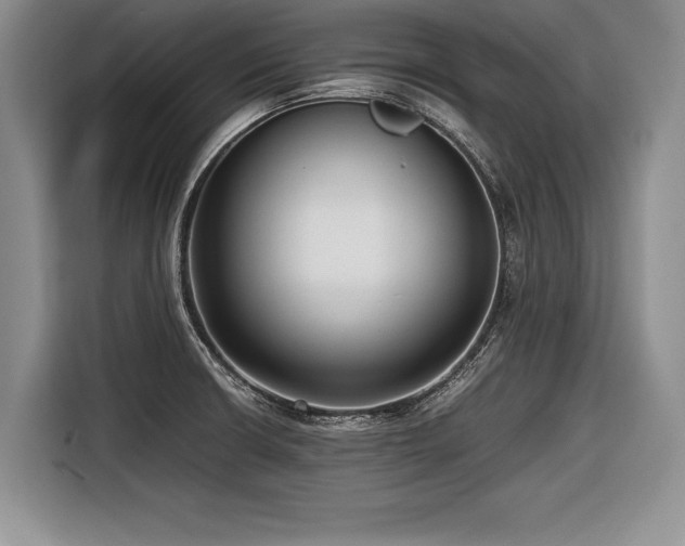 X0000116621426200912111147
