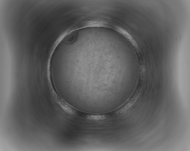 X0000116621427200912111147