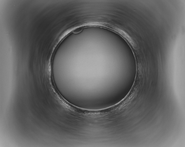 X0000116621428200912111147