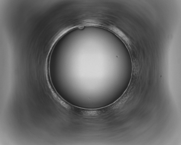 X0000116621431200912111147