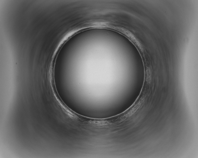 X0000116621432200912111147