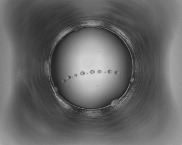 X0000116621433200912111147