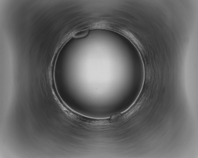 X0000116621434200912111147