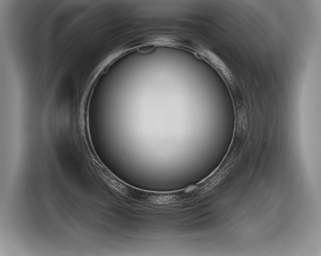 X0000116621435200912111147
