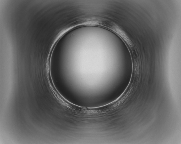 X0000116621436200912111147
