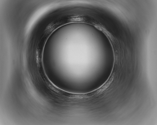 X0000116621438200912111147