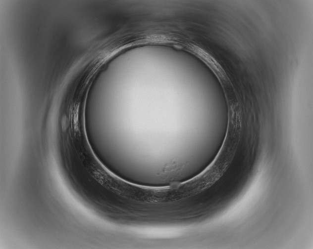 X0000116621439200912111147