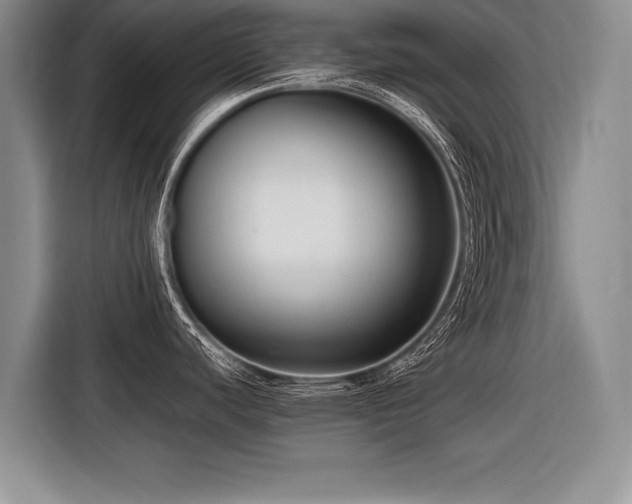 X0000116621440200912111147