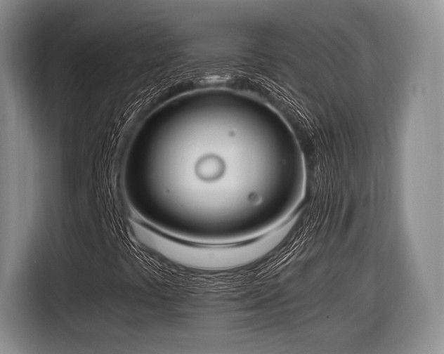 X0000116621441200912111147
