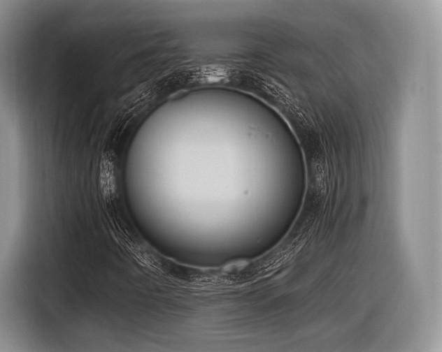 X0000116621442200912111147