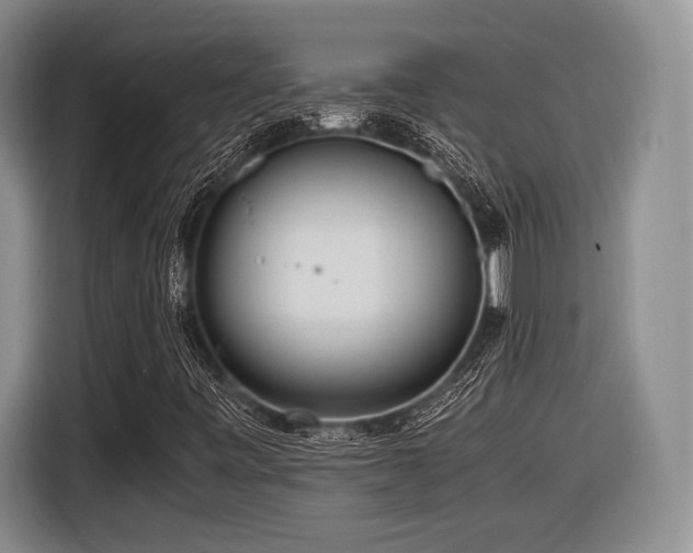 X0000116621443200912111147