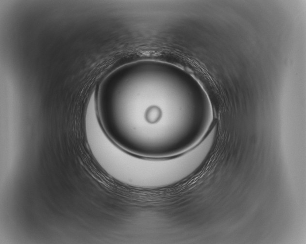 X0000116621444200912111147