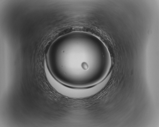 X0000116621445200912111147