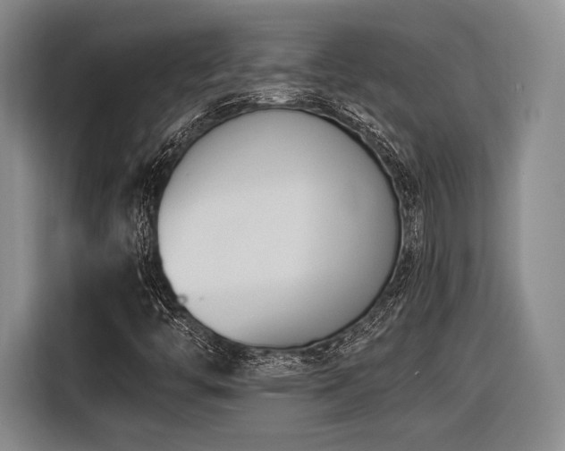 X0000116621446200912111147