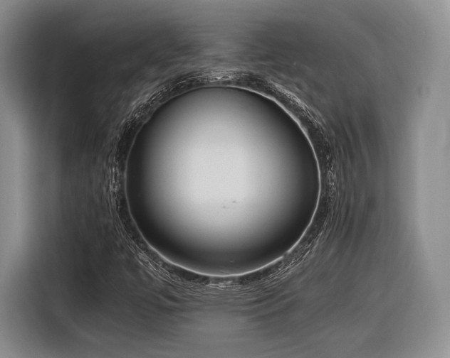 X0000116621447200912111147