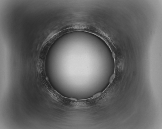 X0000116621448200912111147