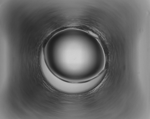 X0000116621449200912111147