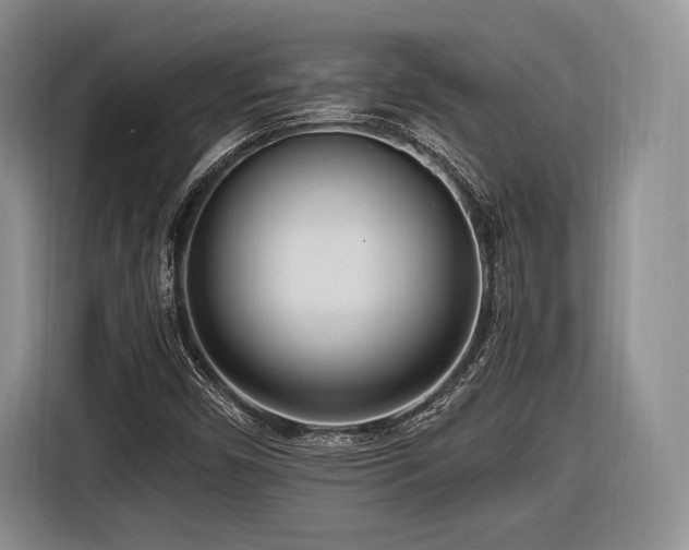 X0000116621450200912111147