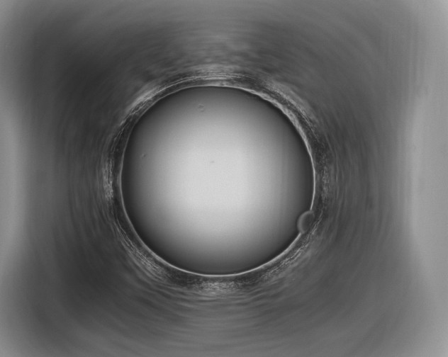 X0000116621451200912111147