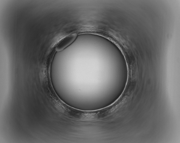 X0000116621453200912111147