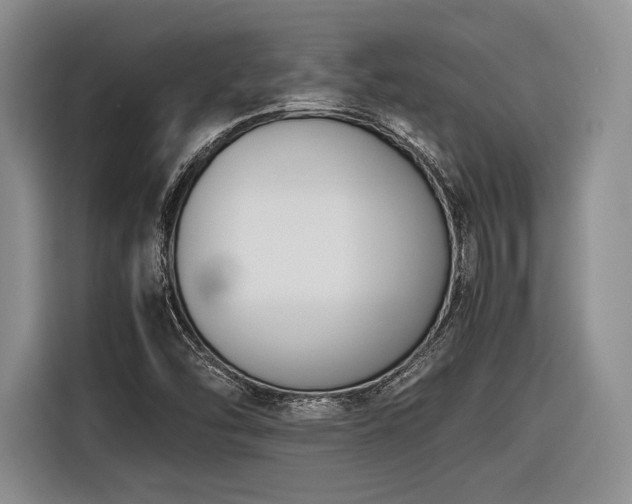 X0000116621454200912111147