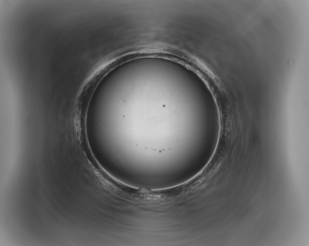 X0000116621456200912111146