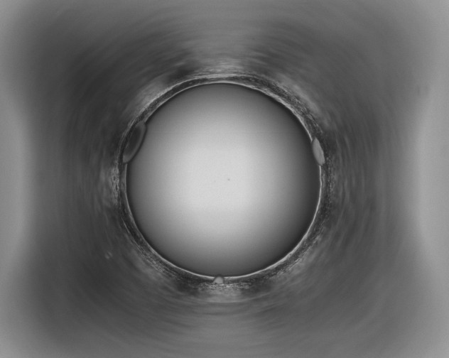 X0000116621457200912111146