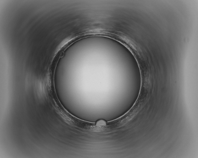 X0000116621458200912111146