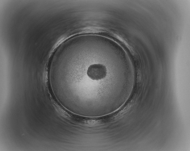 X0000116621459200912111146