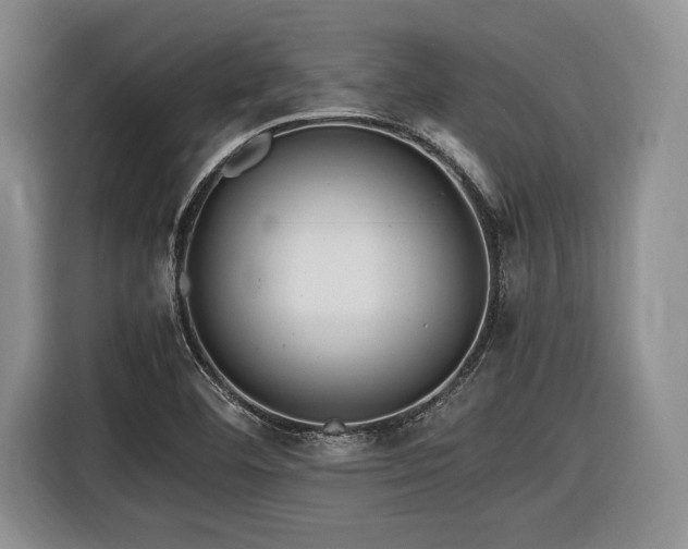 X0000116621460200912111146