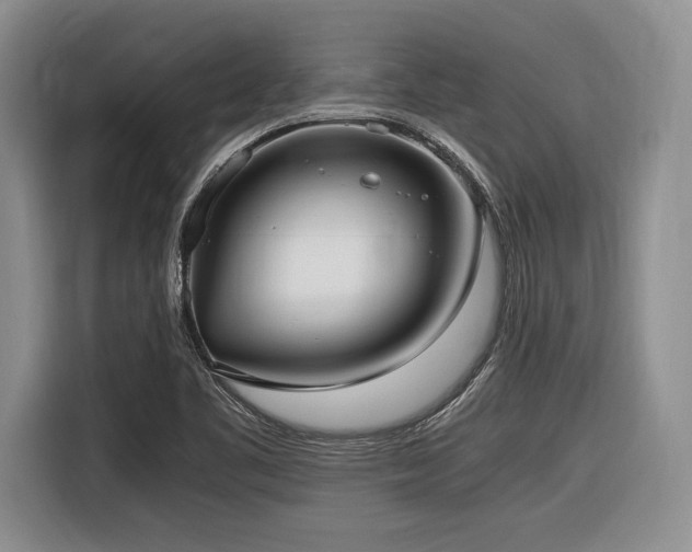 X0000116621461200912111146