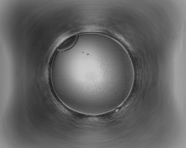 X0000116621463200912111146