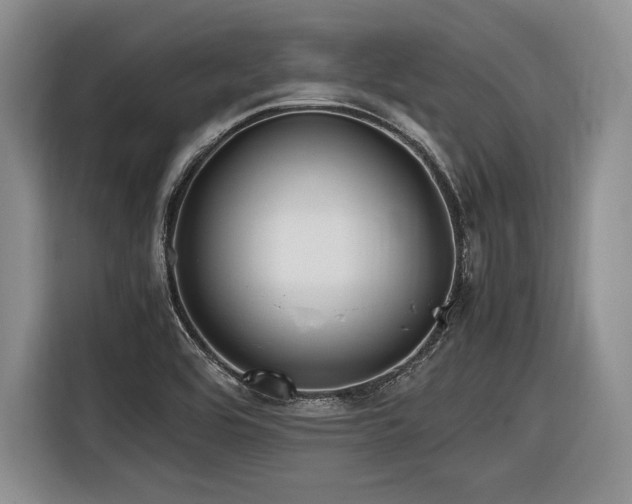 X0000116621464200912111146