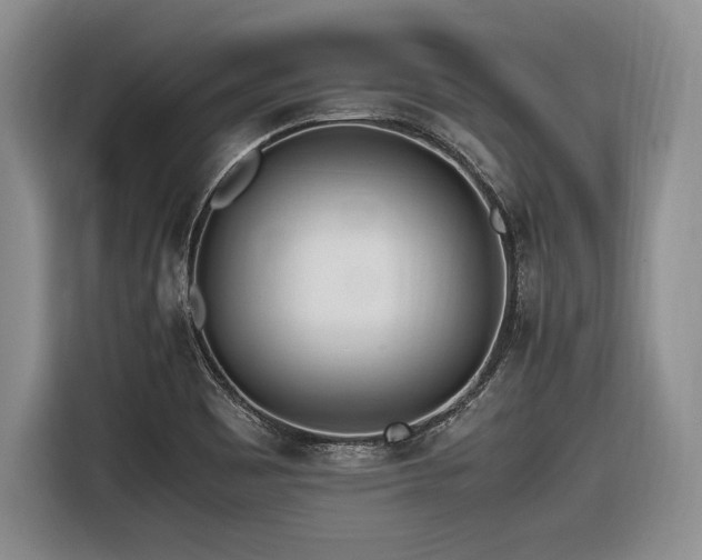 X0000116621465200912111146