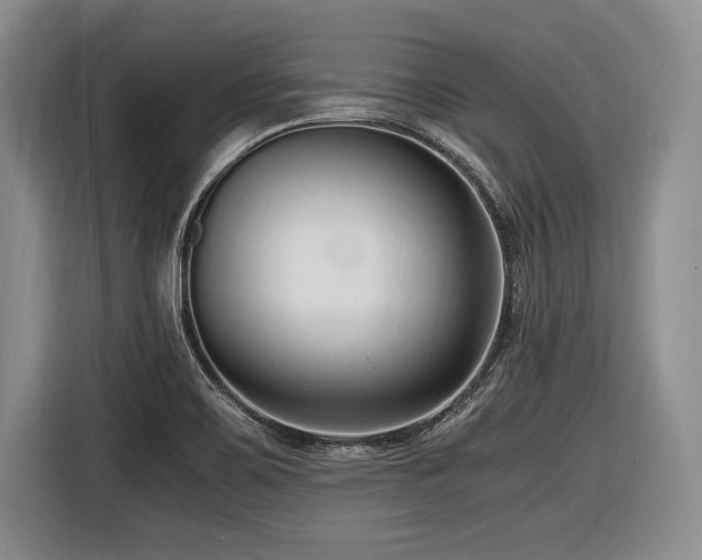 X0000116621467200912111146