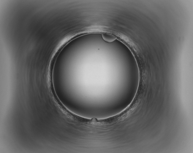 X0000116621469200912111146