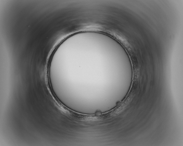 X0000116621470200912111146