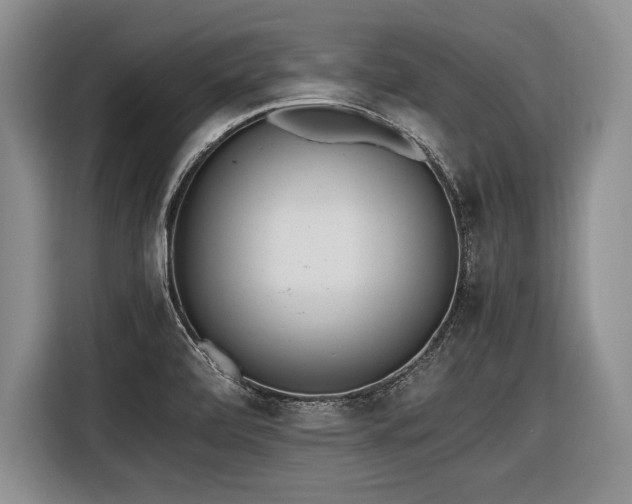 X0000116621472200912111146