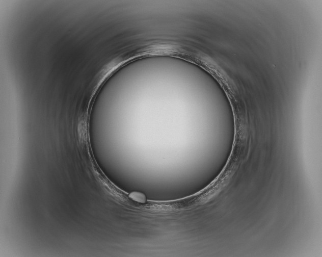 X0000116621473200912111146