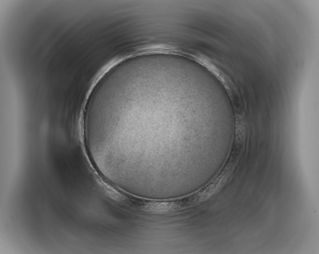 X0000116621474200912111146
