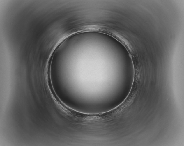 X0000116621475200912111146