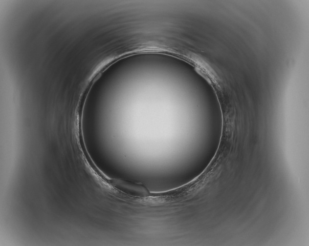 X0000116621476200912111146