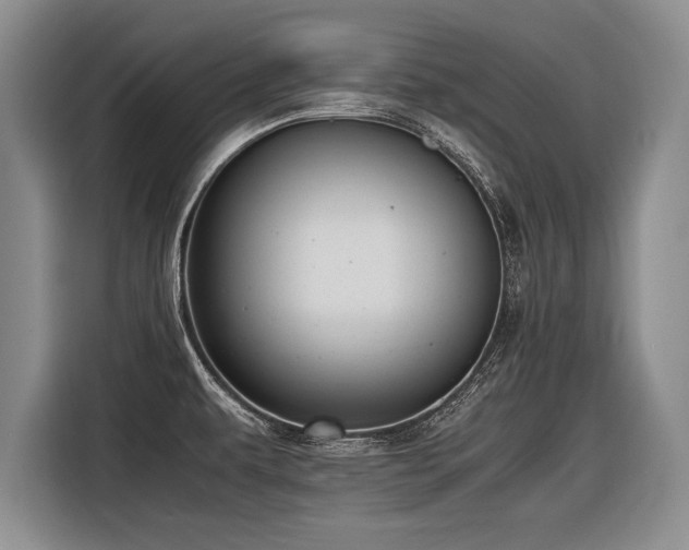 X0000116621479200912111146
