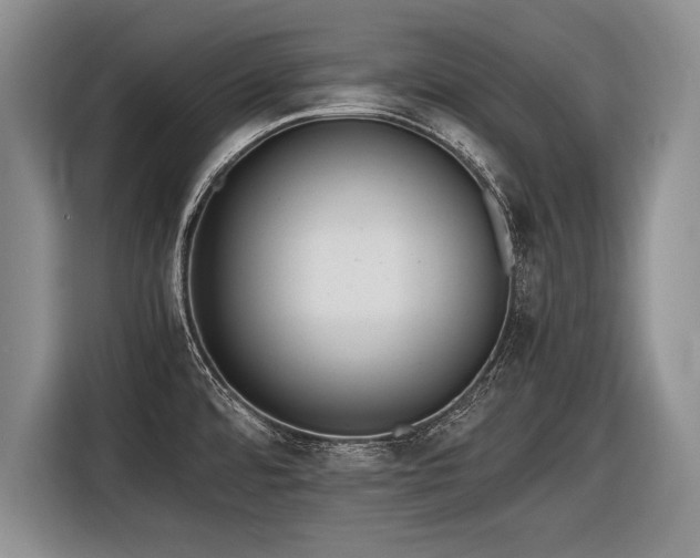X0000116621480200912111146