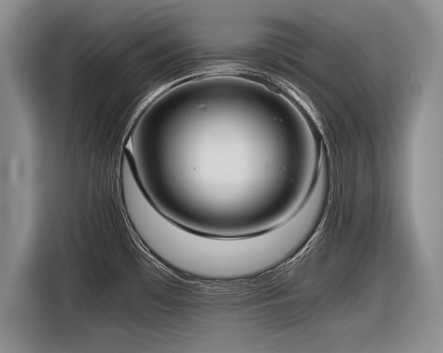 X0000116621481200912111146