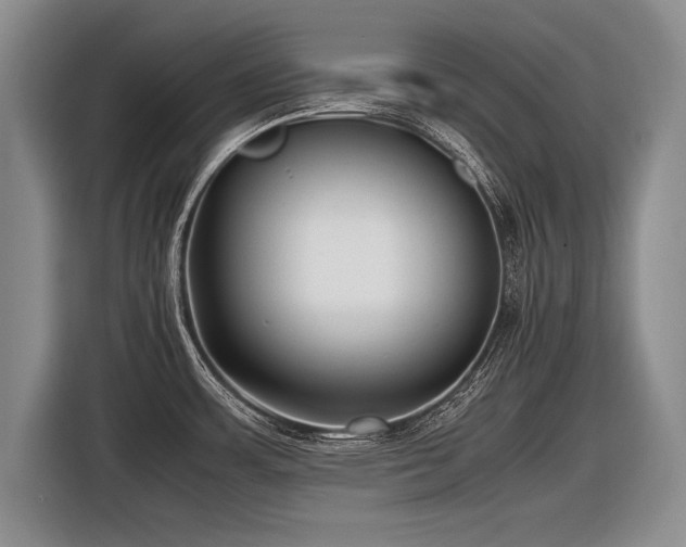 X0000116621483200912111146