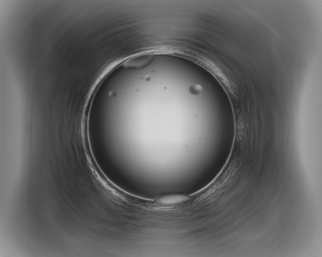 X0000116621484200912111146