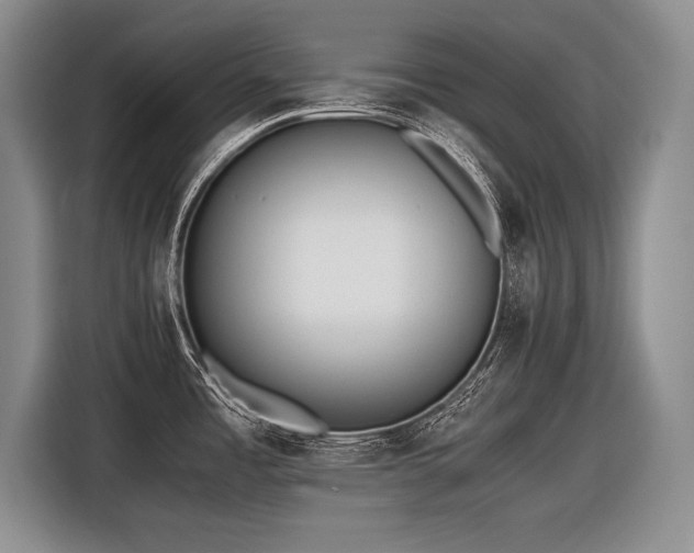 X0000116621485200912111146
